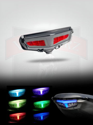 RBG TAIL LIGHT MT-15